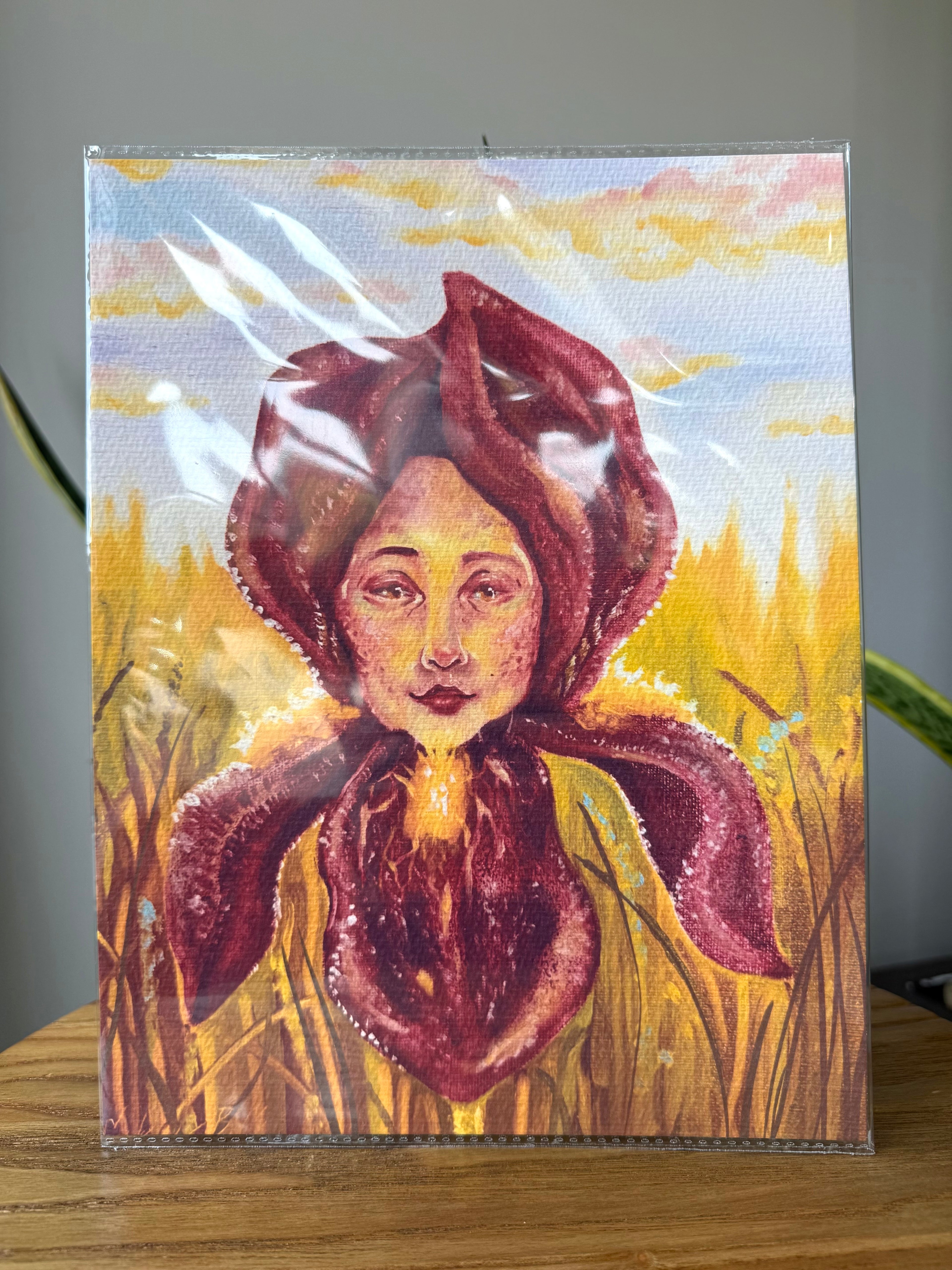 Iris Lady