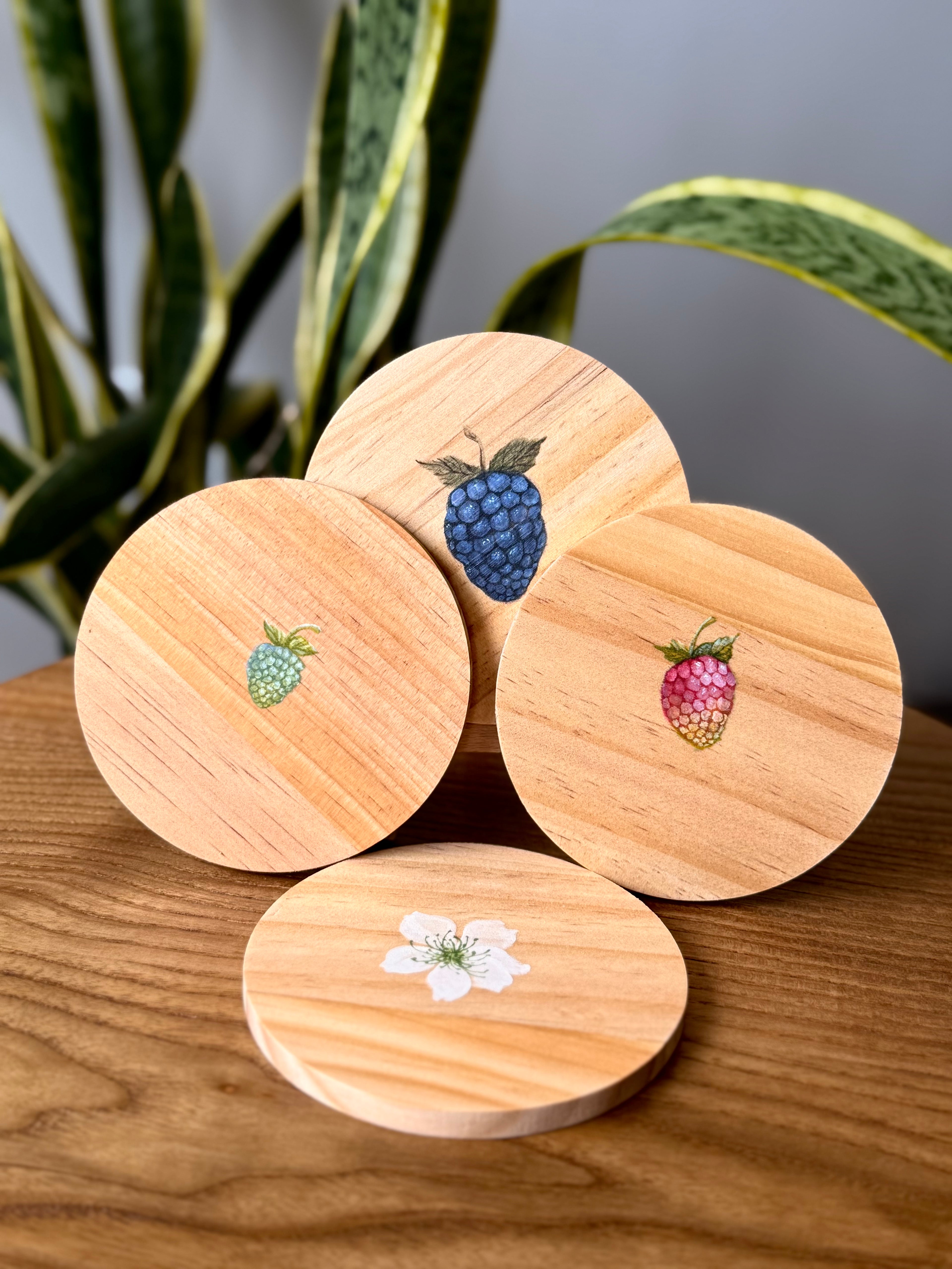 BlackBerry life cycle coasters
