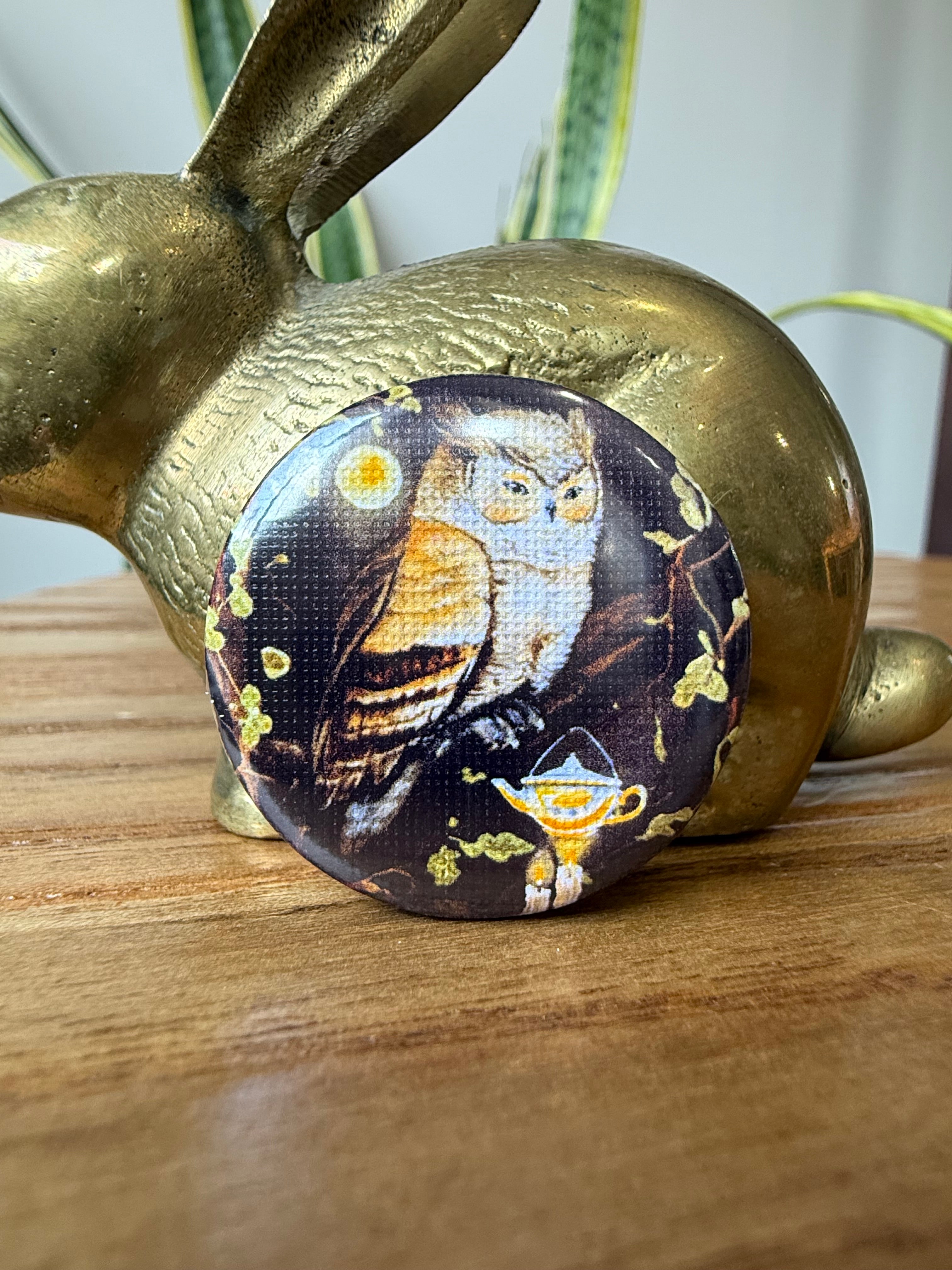 Owl
