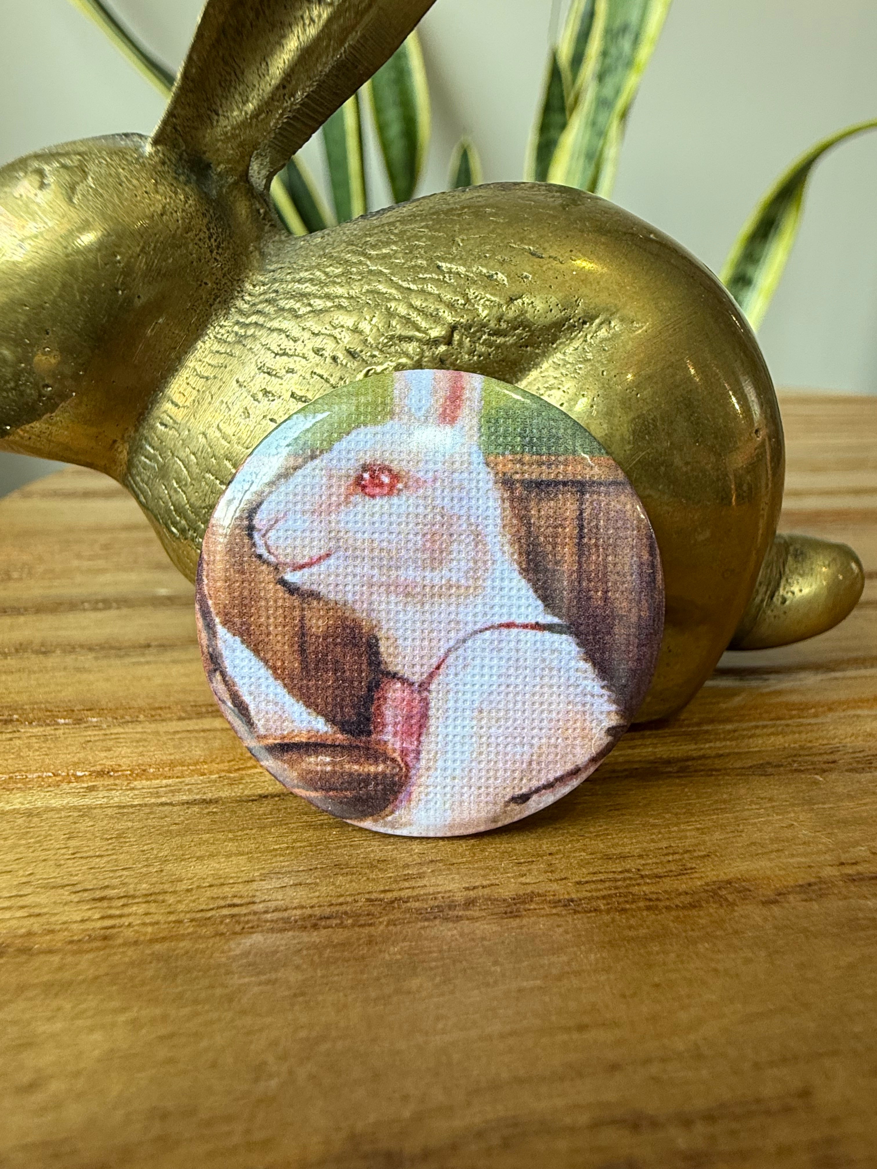 Baking Bunny